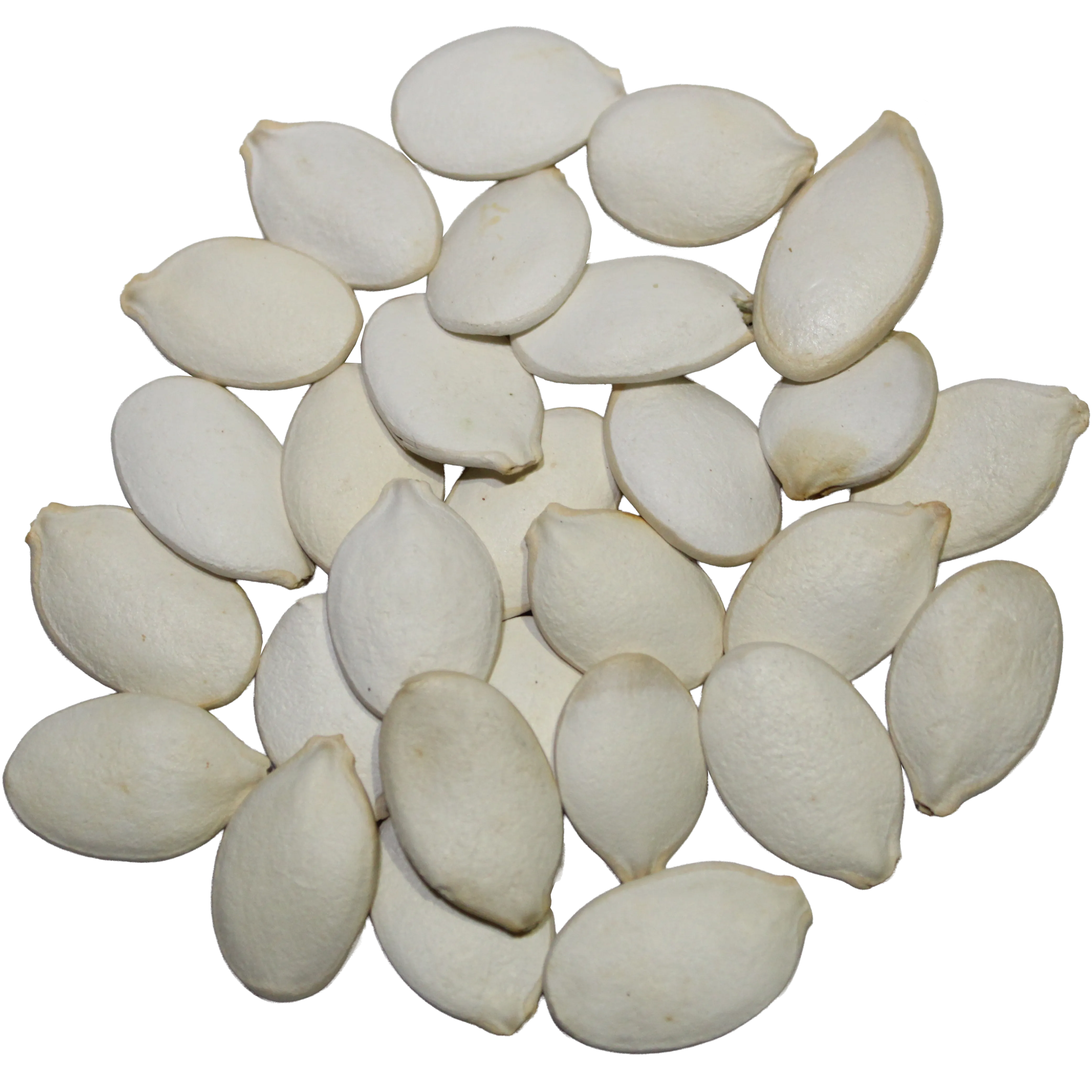 Unslated Pumpkin Seeds With Shell